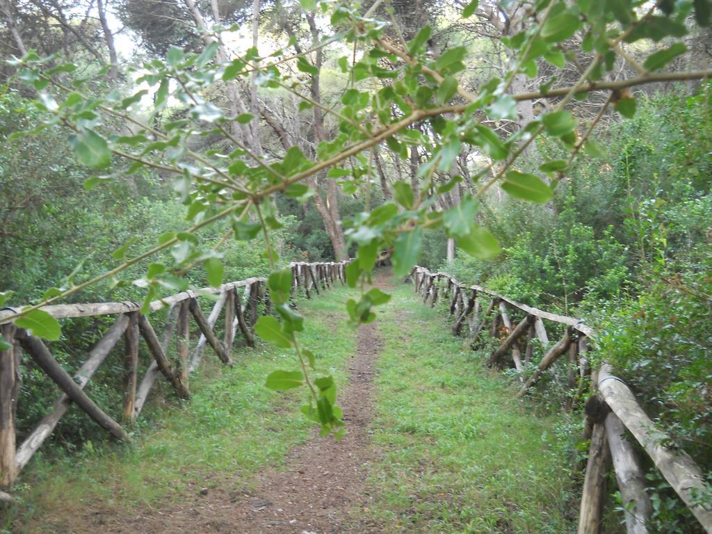La Trottoria Agriturismo Οτράντο Εξωτερικό φωτογραφία