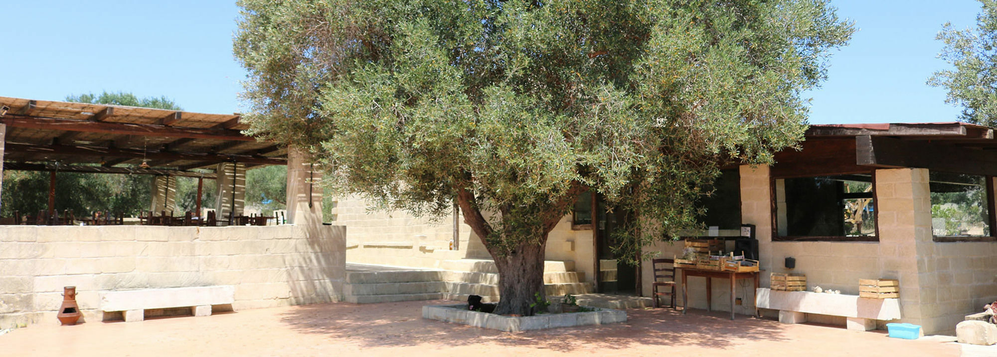 La Trottoria Agriturismo Οτράντο Εξωτερικό φωτογραφία